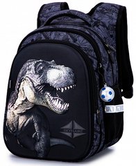 Рюкзак шкільний для хлопчиків сірий з динозавром SkyName R1-027