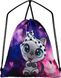 Рюкзак шкільний 3в1 фіолетовий, кішечка SkyName R1-020 Full Set 14