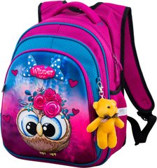 Рюкзак шкільний для дівчаток рожево-блакитний, сова Winner One R2-162
